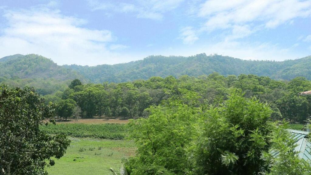 Hill Green Home Stay 테카디 외부 사진